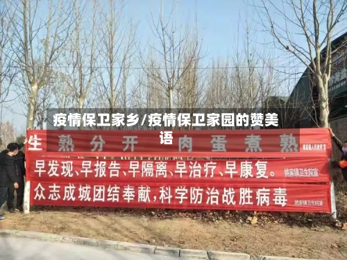 疫情保卫家乡/疫情保卫家园的赞美语