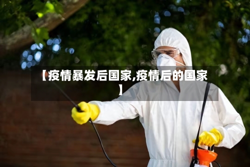 【疫情暴发后国家,疫情后的国家】-第2张图片