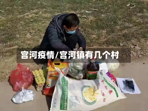 宫河疫情/宫河镇有几个村