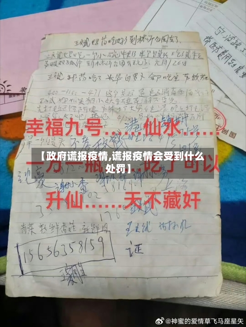 【政府谎报疫情,谎报疫情会受到什么处罚】-第2张图片