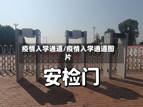 疫情入学通道/疫情入学通道图片