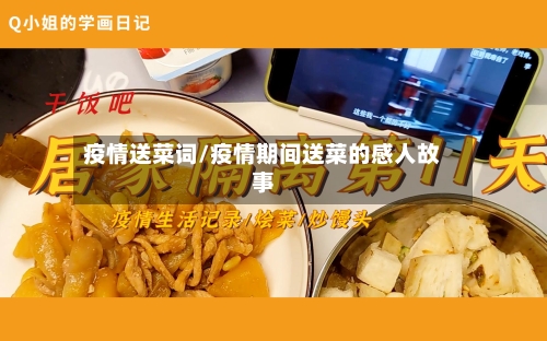 疫情送菜词/疫情期间送菜的感人故事