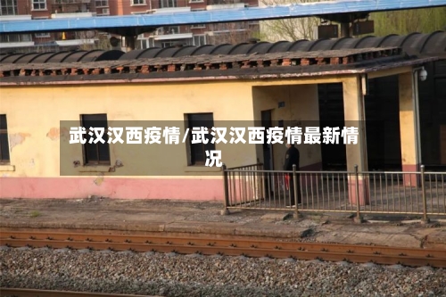 武汉汉西疫情/武汉汉西疫情最新情况