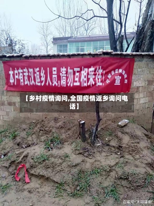 【乡村疫情询问,全国疫情返乡询问电话】-第3张图片