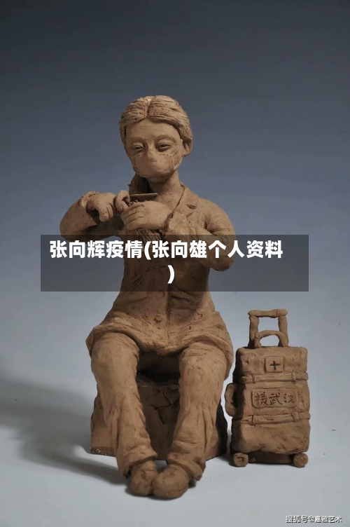张向辉疫情(张向雄个人资料)