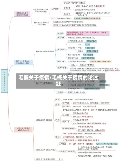 毛概关于疫情/毛概关于疫情的论述题