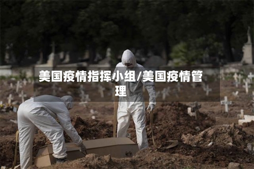 美国疫情指挥小组/美国疫情管理