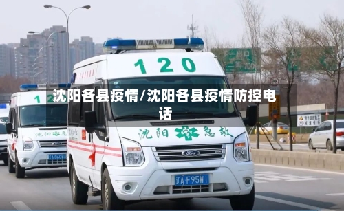 沈阳各县疫情/沈阳各县疫情防控电话
