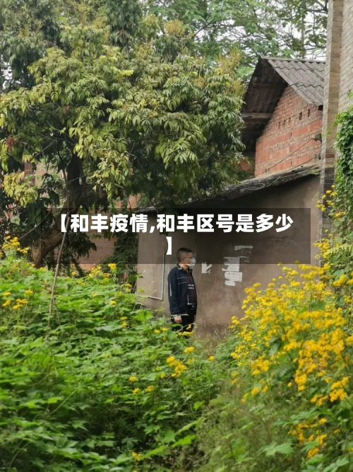 【和丰疫情,和丰区号是多少】