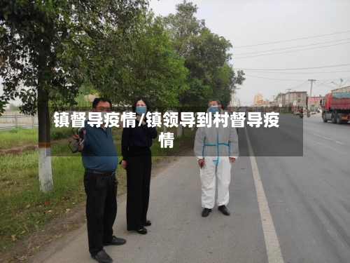 镇督导疫情/镇领导到村督导疫情