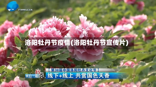 洛阳牡丹节疫情(洛阳牡丹节宣传片)-第2张图片