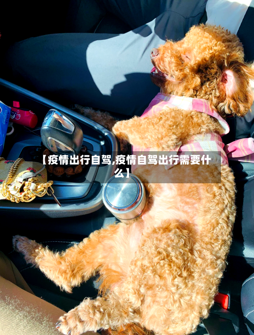 【疫情出行自驾,疫情自驾出行需要什么】-第2张图片