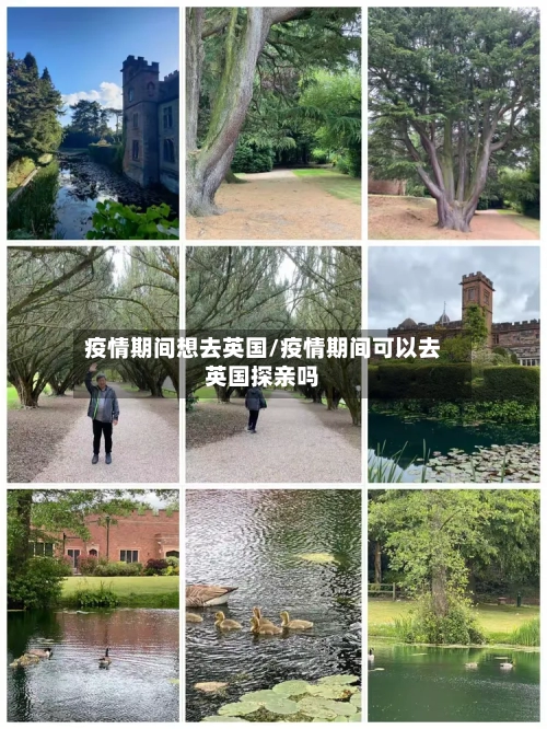 疫情期间想去英国/疫情期间可以去英国探亲吗