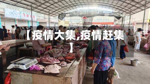 【疫情大集,疫情赶集】-第2张图片