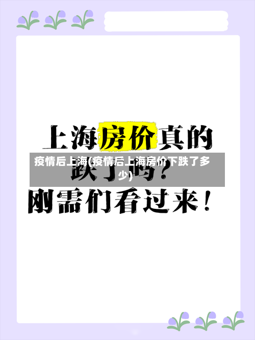 疫情后上海(疫情后上海房价下跌了多少)-第3张图片