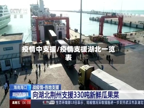 疫情中支援/疫情支援湖北一览表-第2张图片