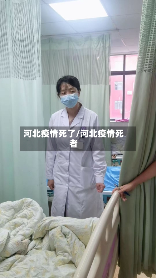 河北疫情死了/河北疫情死者-第3张图片