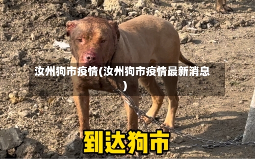 汝州狗市疫情(汝州狗市疫情最新消息)