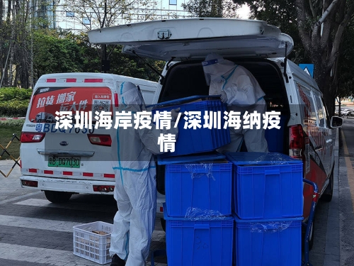 深圳海岸疫情/深圳海纳疫情-第3张图片