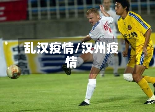乱汉疫情/汉州疫情-第2张图片