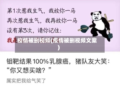 疫情被删视频(疫情被删视频文案)-第3张图片