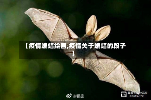 【疫情蝙蝠绘画,疫情关于蝙蝠的段子】