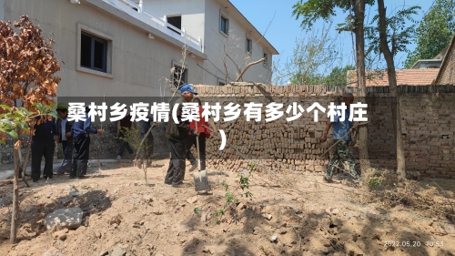 桑村乡疫情(桑村乡有多少个村庄)