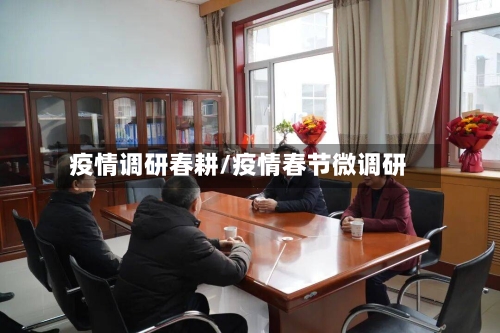 疫情调研春耕/疫情春节微调研-第2张图片