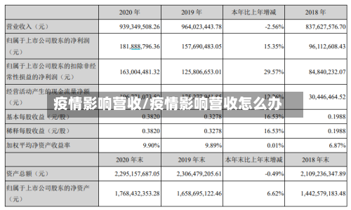 疫情影响营收/疫情影响营收怎么办