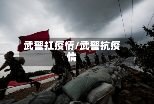 武警扛疫情/武警抗疫情