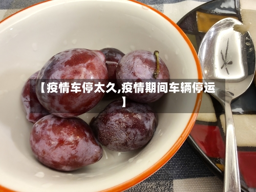 【疫情车停太久,疫情期间车辆停运】