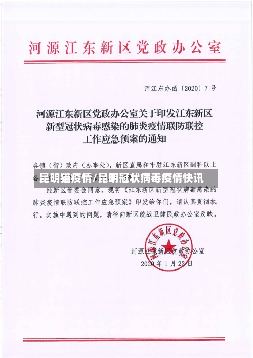 昆明猫疫情/昆明冠状病毒疫情快讯-第3张图片
