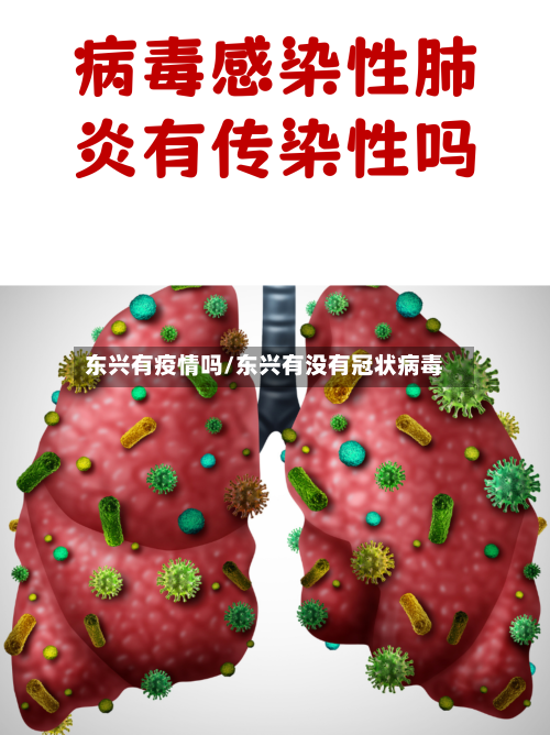 东兴有疫情吗/东兴有没有冠状病毒