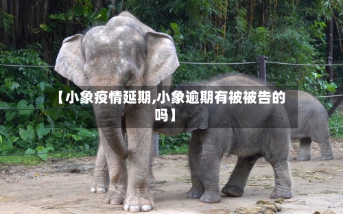 【小象疫情延期,小象逾期有被被告的吗】