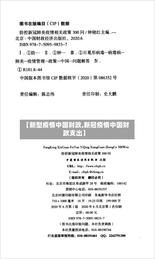 【新型疫情中国财政,新冠疫情中国财政支出】